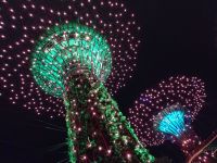 Super Trees - Singapur