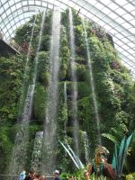 Wasserfall im Cloud Forest, Singapur