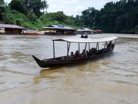 Bootsfahrt im Taman Negara Nationalpark, Malaysia