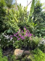 Botanischer Garten Singapur