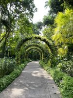 Botanischer Garten Singapur