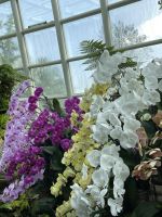 Botanischer Garten Singapur