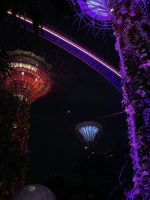 Lichtershow Garden Rhapsody