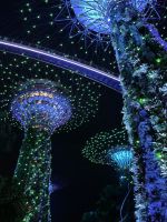 Lichtershow Garden Rhapsody