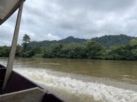 Bootsfahrt im Taman Negara Nationalpark