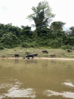 Bootsfahrt im Taman Negara Nationalpark