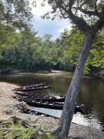 Bootsfahrt im Taman Negara Nationalpark