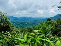 Teresek Hill Aussicht