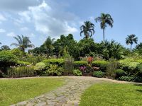 Hier kann man in tropischer Hitze wunderbar entspannen, Botanischer Garten in Singapur