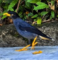 Jetzt gebt mir doch endlich ein Leckerli!