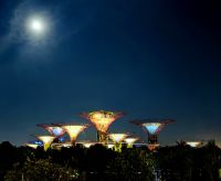 Singapur bei Nacht, die Supertrees mit Vollmond