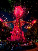 Allabendliche Lichtershow an den Supertrees