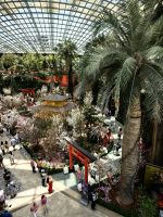 Thema Kirschblüten in Japan im Flower Dome