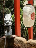 Typisch Japan, Flower Dome