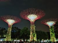 Singapur - Supertrees