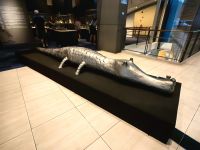 Krokodil in der Zinnfabrik von Kuala Lumpur