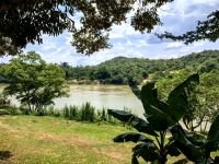 Mitten in Malaysia verlassen wir unseren Bus und fahren in die Dschungellodge mit dem Boot weiter