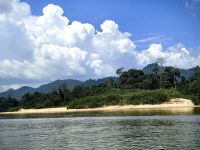 Wir schippern den Sungai Tembeling Fluß entlang, der den gesamten Taman Negara Nationalpark durchfließt