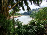 Blick vom Dschungelcamp auf den Sungai Tembeling Fluß