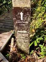 Da geht's zum Baumwipfelpfad