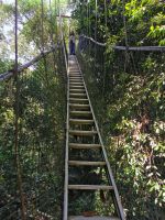 Reisebegleiterin Simone seilt sich ab