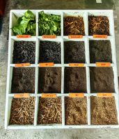 Die verschiedenen Qualitäten vom Tee