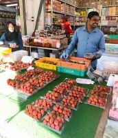 Erdbeeren auf dem Markt in den Cameron Highlands
