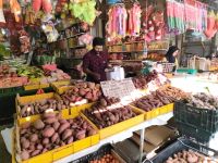 Süßkartoffeln, Markt in den Cameron Highlands
