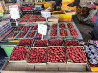 Erdbeeren über Erdbeeren auf dem Markt der Cameron Highlands