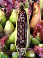 Roter Mais auf dem Markt in den Cameron Highlands