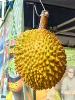 Bei den Chinesen sehr beliebt: die Stinkfrucht Durian