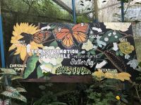 Schmetterlingspark-Cameron Highlands