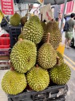 Tag 2 - Durian-Frucht (Stinkfrucht)