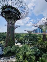 Tag 3 - Gardens by the Bay