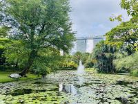 Tag 3 - Gardens by the Bay