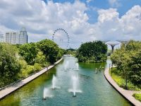Tag 3 - Blick auf Gardens by the Bay und Singapur Flyer