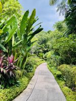 Tag 4 - Nationaler Orchidee-Garten