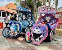 Tag 5 - Malaysische Kuriositäten 