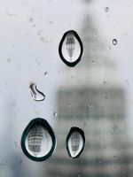 Tag 8 - Petronas Towers, Blick von der 86. Etage