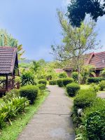 Tag 8 - Mutiara Taman Resort