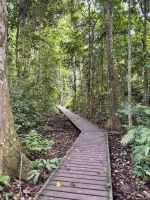 Tag 9 - Dschungelwanderung