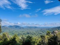 Tag 9 - Dschungelwanderung