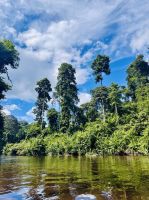 Tag 9 - Bootstour durch den Dschungel 