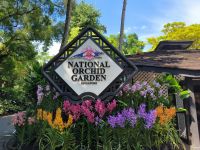 Singapur. Orchideen-Garten