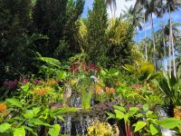 Singapur. Orchideen-Garten
