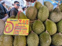 Singapur. Durian-(Stinke)Früchte