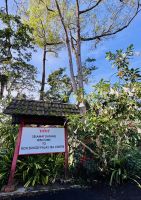 Tag 11 - BOH-Teeplantage 