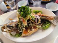 Singapur. Seefood Restaurant Chili Crab - Fisch