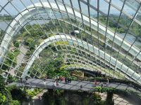Singapur. Gardens by the Bay. Cloud Forest
