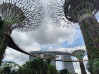 Singapur. Gardens by the Bay Supertrees